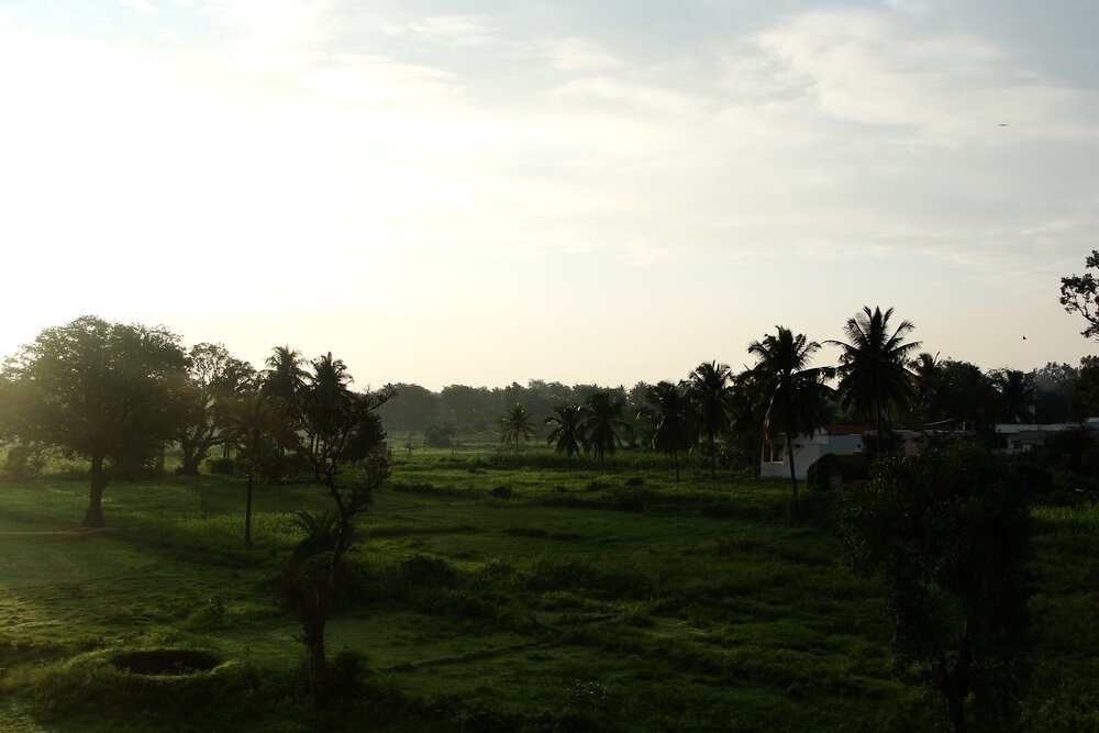 Scenery on the way to Mysore