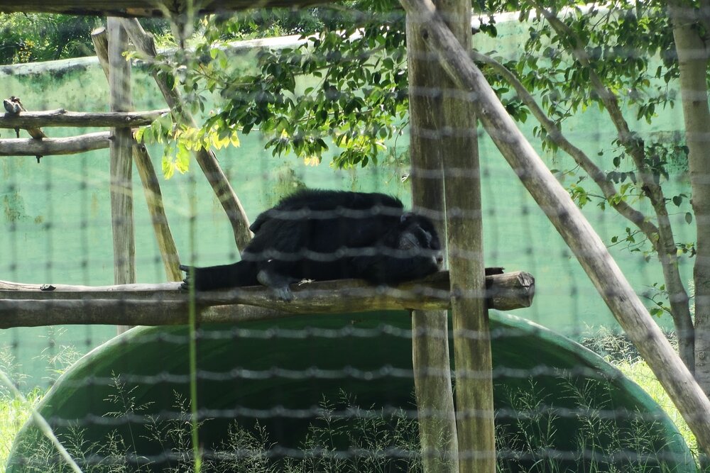 At the Mysore zoo